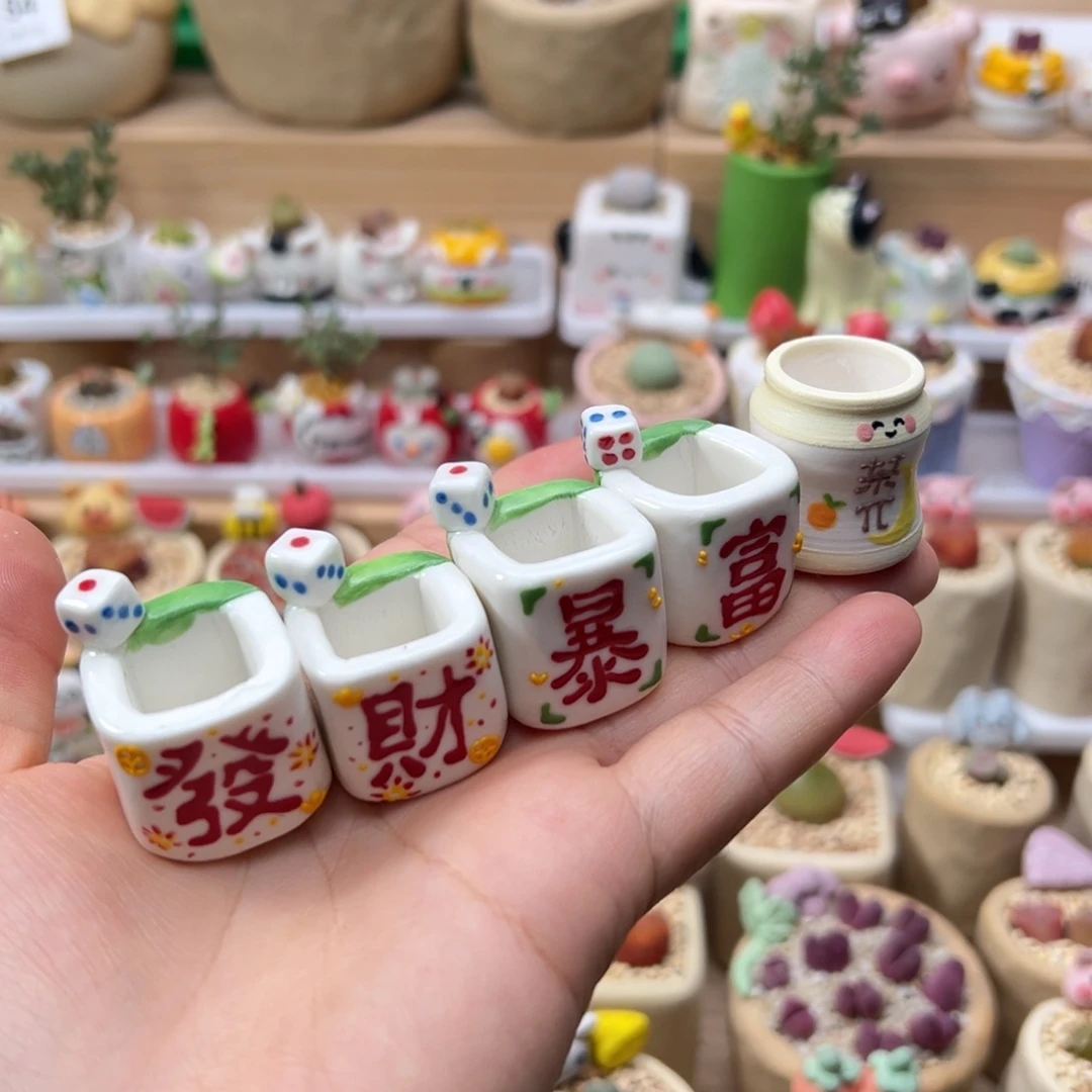 平***我多肉植物144号看着种