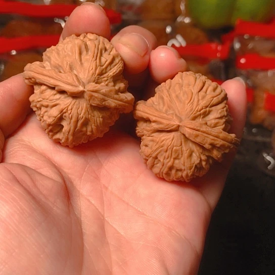 文玩核桃把件白狮子38