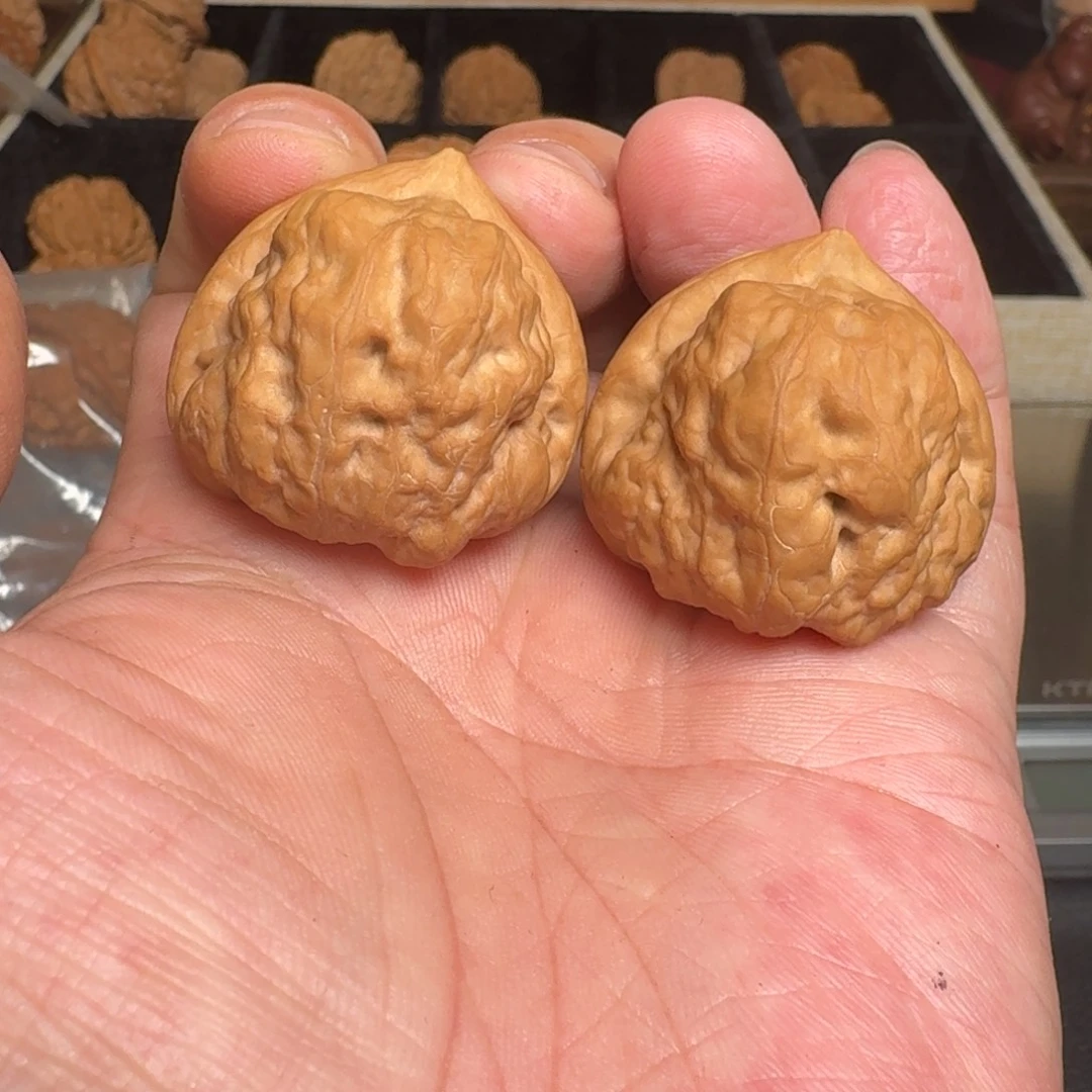 文玩核桃吊坠全品古蟾 尺寸36