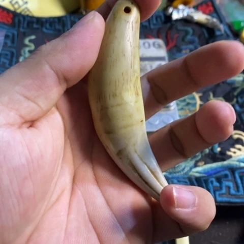 大哥专拍链接一号