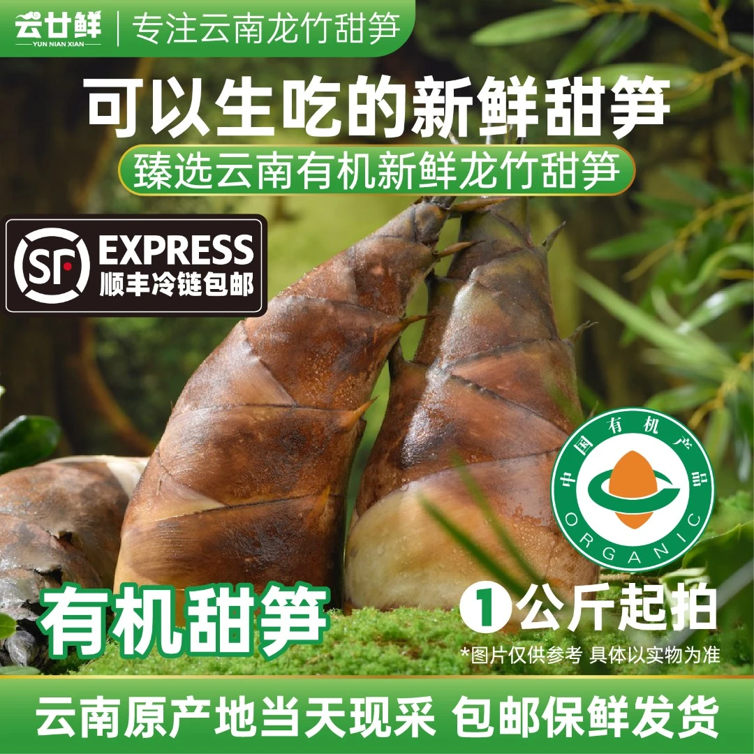 【助农专属】云南特产有机新鲜当季高山甜笋 现挖现发 正宗可生吃笋