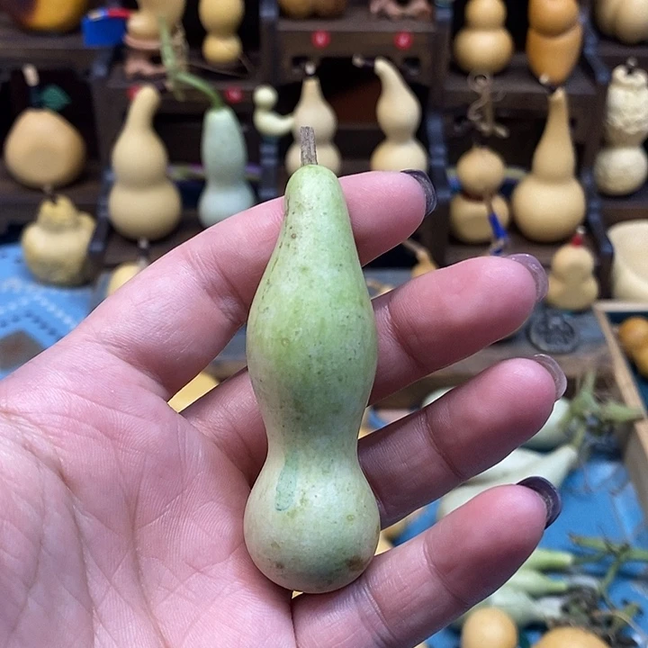 本捻青皮全品无暇