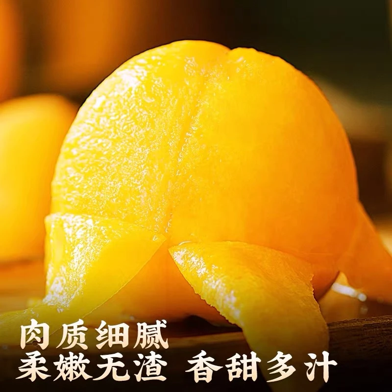 T（京东包邮-新鲜直发）山东蒙阴黄毛桃蜜桃新鲜采摘应季水果包邮