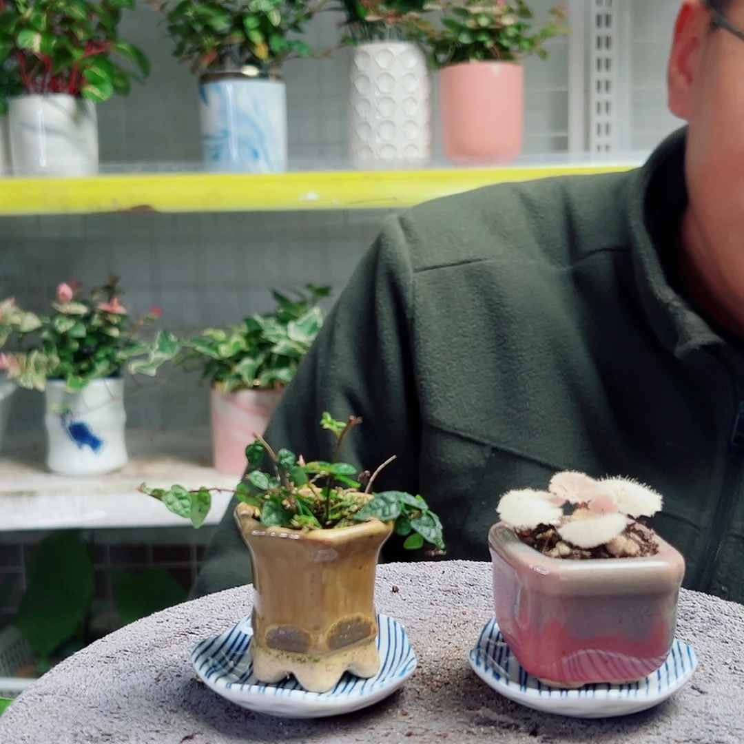 被***家无花朵66