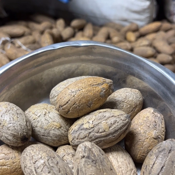 吊坠千眼菩提小胖墩果，20 个。