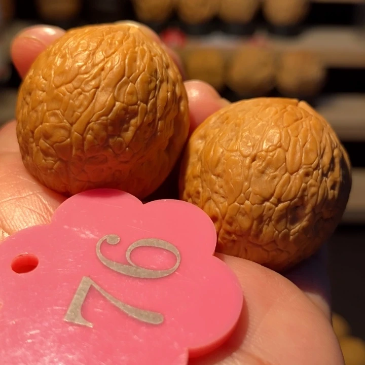 木质类水晶小魔丸31尺寸，主播自留款