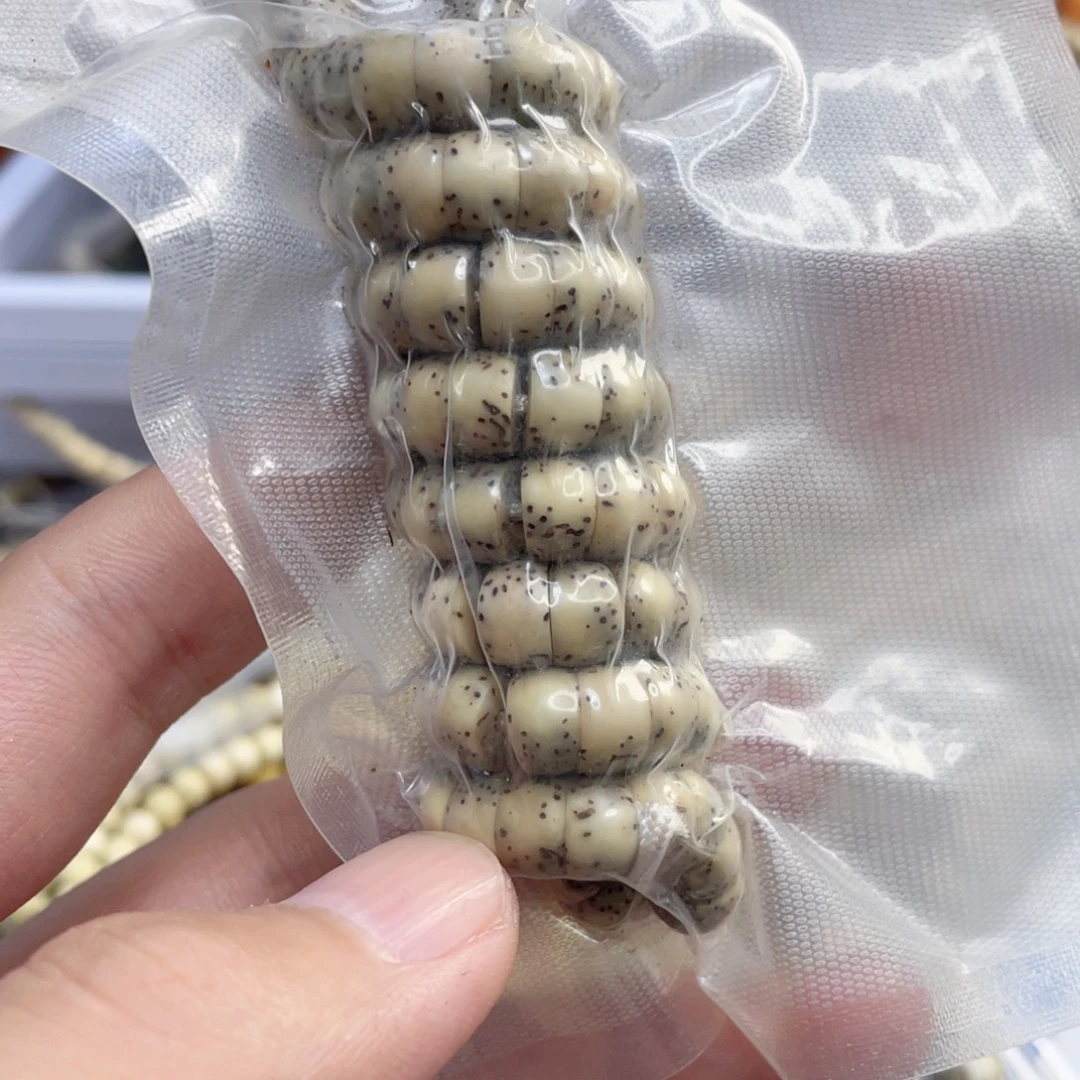 *****手串星月菩提糯冰大肠