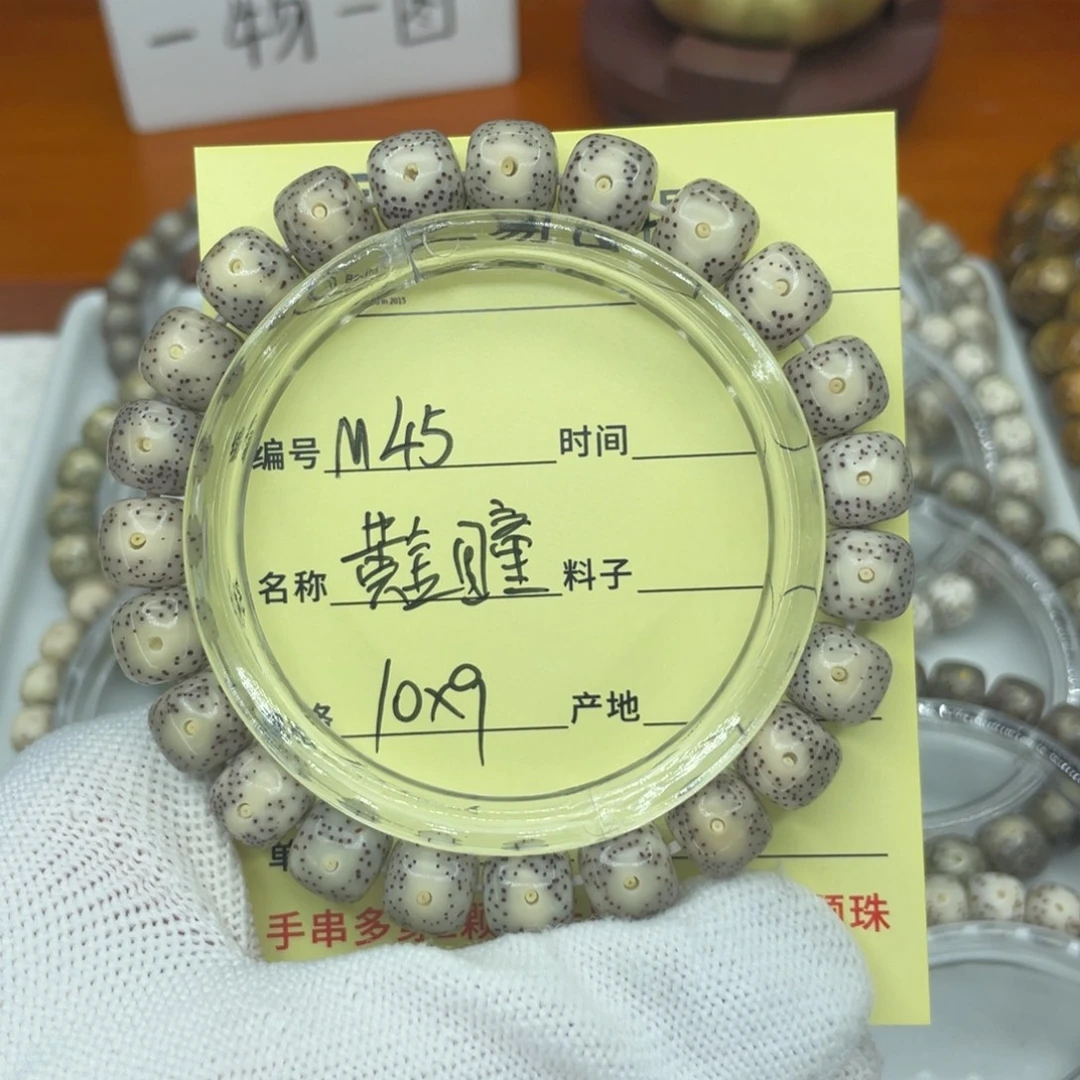 菩提籽类M黄金瞳，