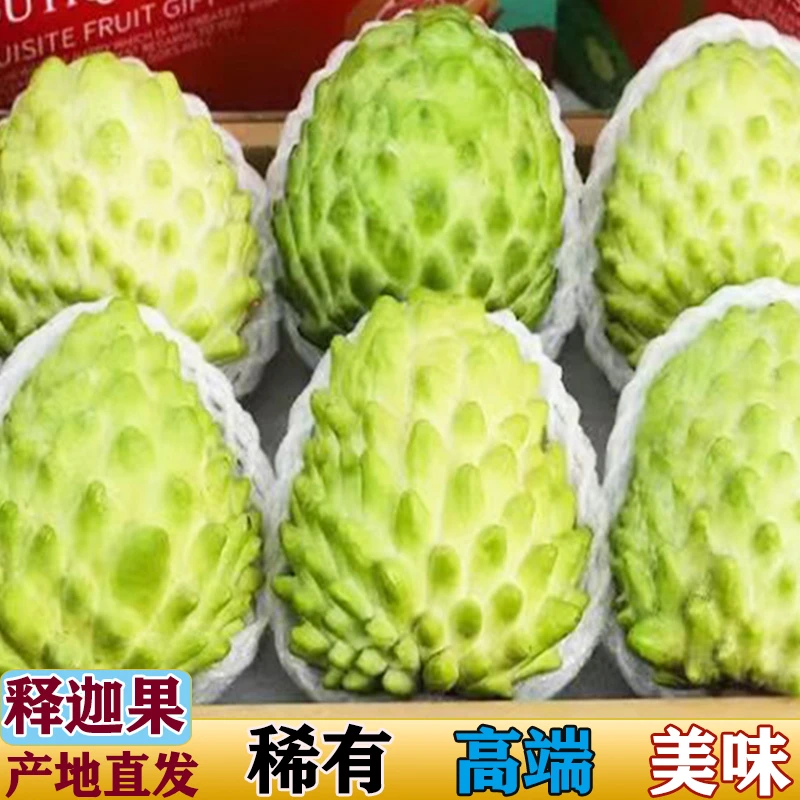 【冬果开园】广西当季新鲜水果现在现发果园直发牛奶凤梨释迦果鲜果