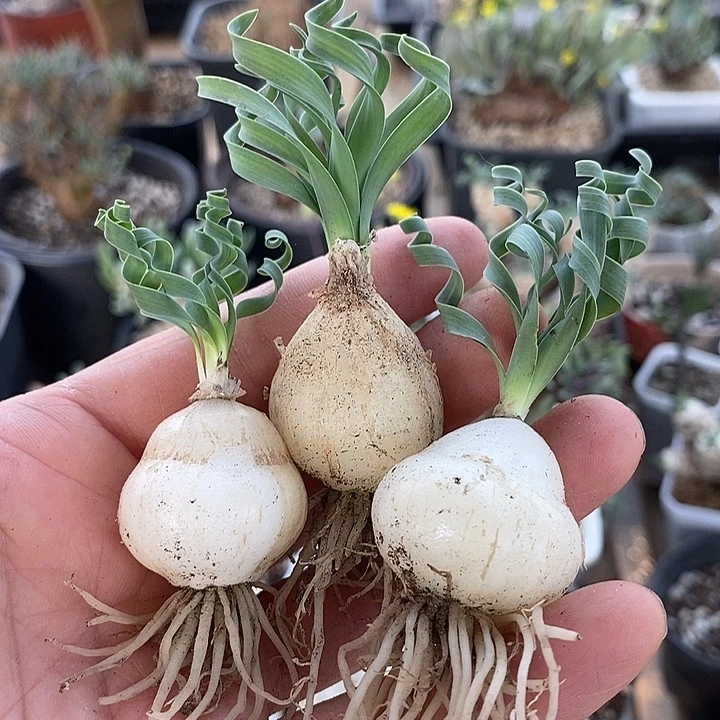 106一一一一一一一一一