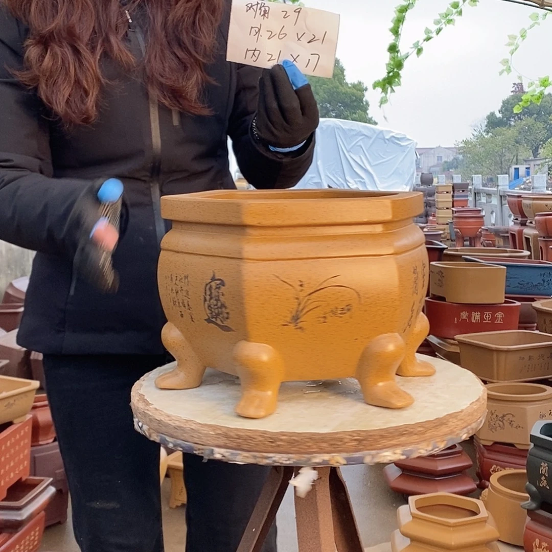 紫砂花盆紫砂花盆