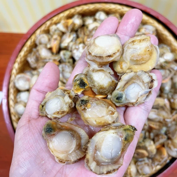 新鲜扇贝肉大个无泥无沙3斤