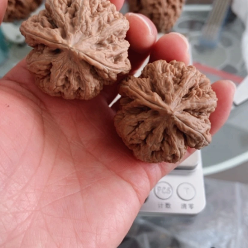 【闪购商品】呼****谱小尺寸全品平谷大粗筋