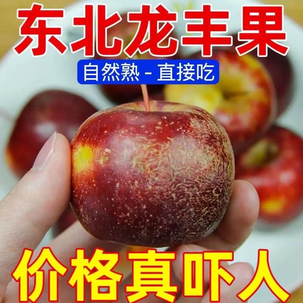 东北新鲜现摘早龙丰果大秋果新鲜发货保温箱冰袋坏果包赔酸甜脆