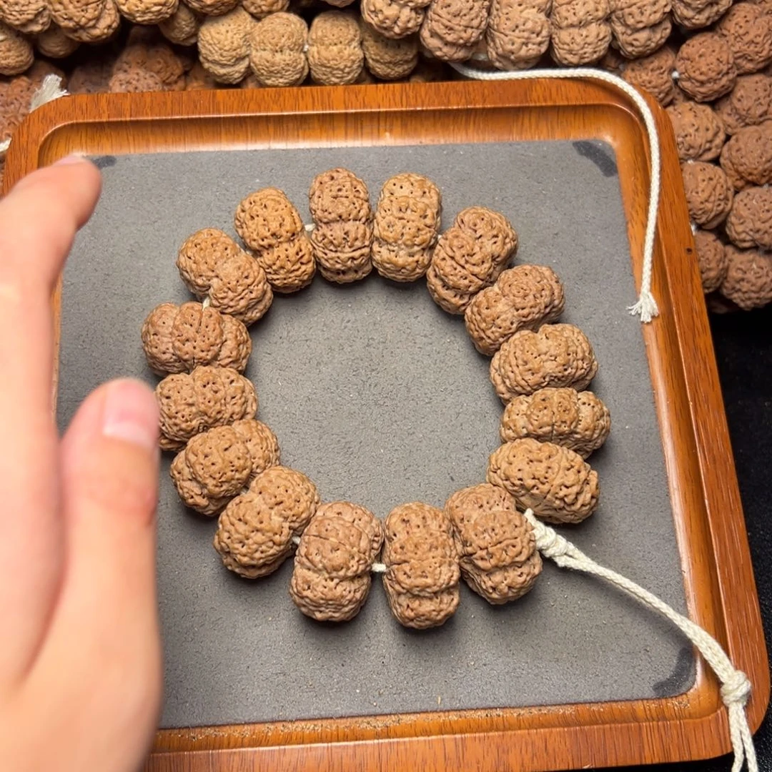 菩提2号尼泊尔大金刚27.5-28五星梅花蜂王夹板