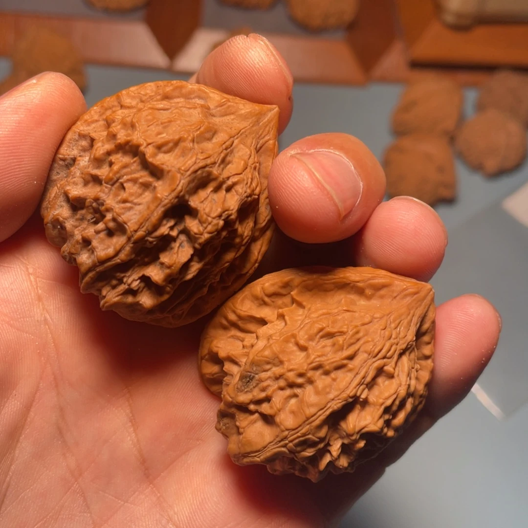 大叶紫檀（黑酸枝木类）