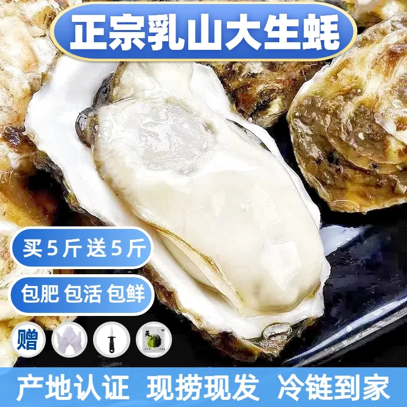 顺丰包邮 | 正宗乳山生蚝 鲜活肥美 清蒸刺身 聚餐送礼5斤/10斤