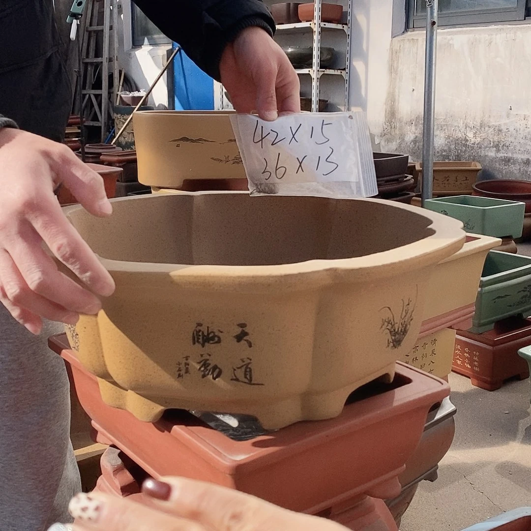 紫砂花盆紫砂花盆