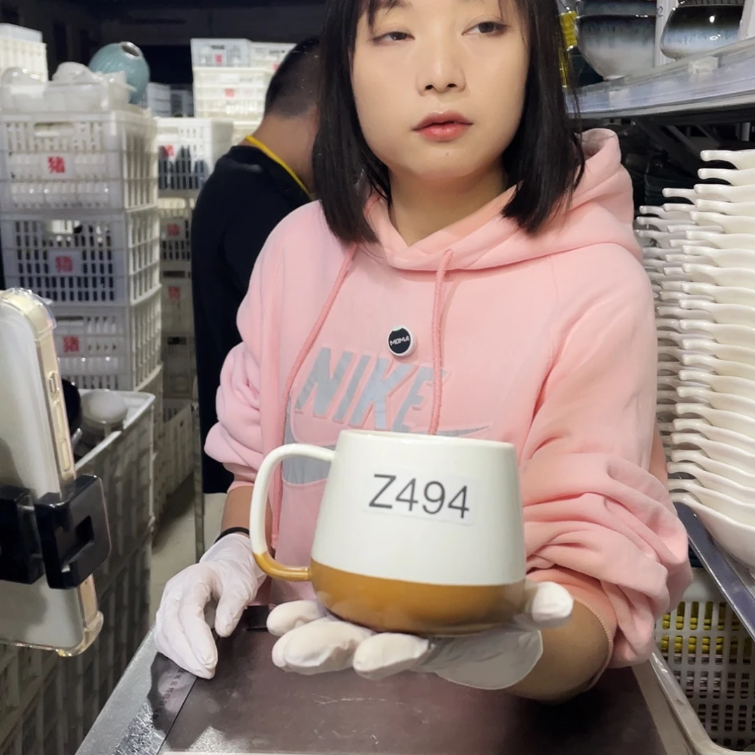 瓷片494                2个