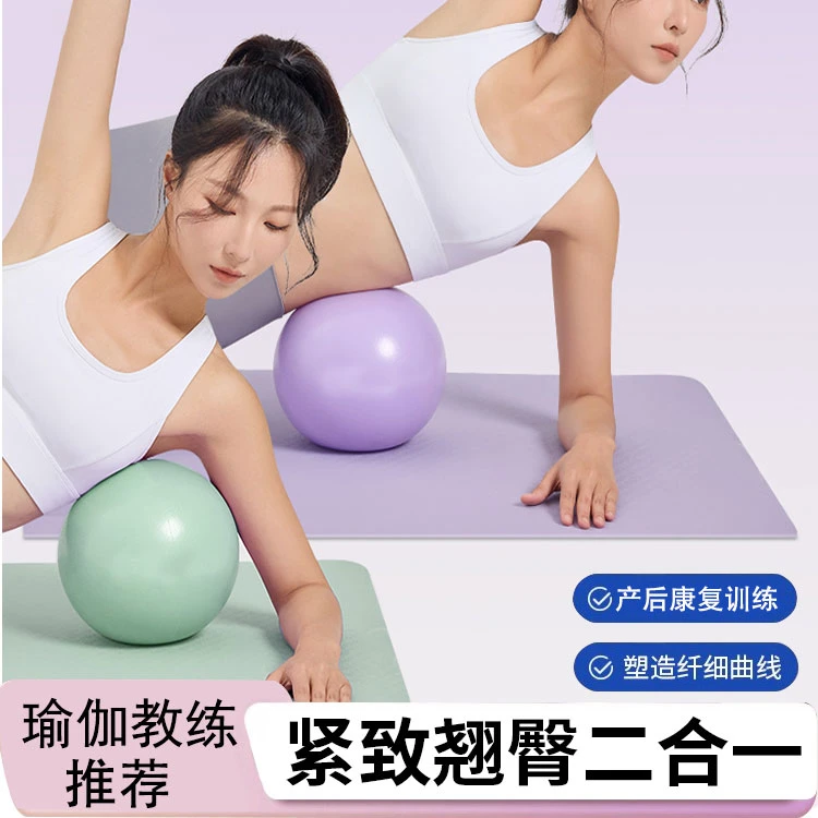欧健盆底肌康复训练球普拉提球翘臀瑜伽球健身防爆球25cm迷你小球