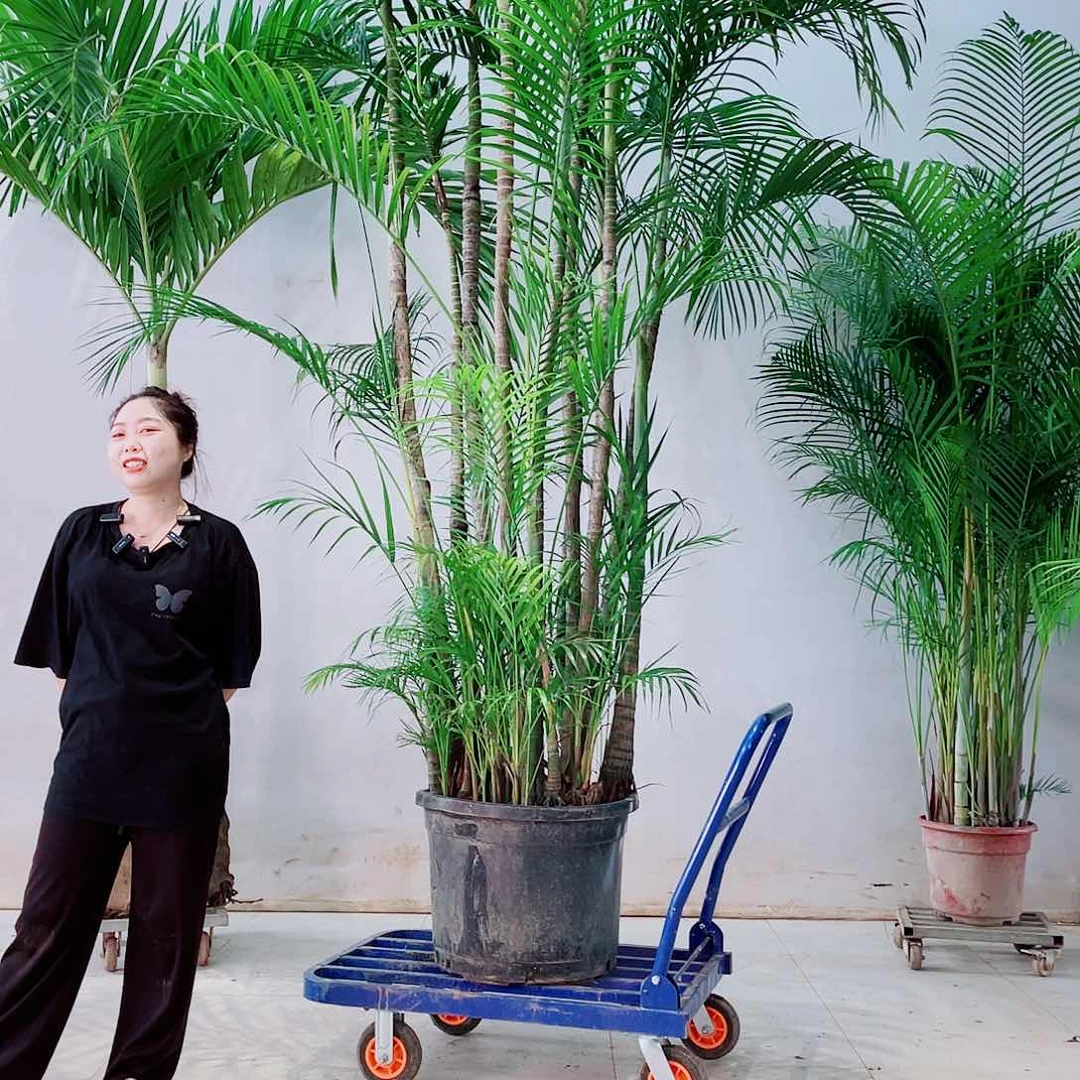 完全开放潇*人246899999900