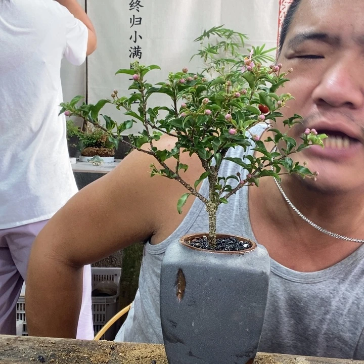 无花朵退款拉黑拉黑23