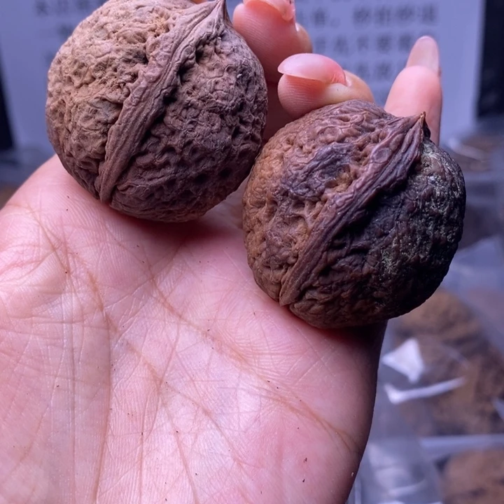 核桃云南野生铁核桃41号37mm