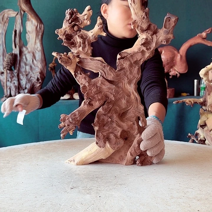 黑果木我**哥527金丝红木羊蹄甲半成品