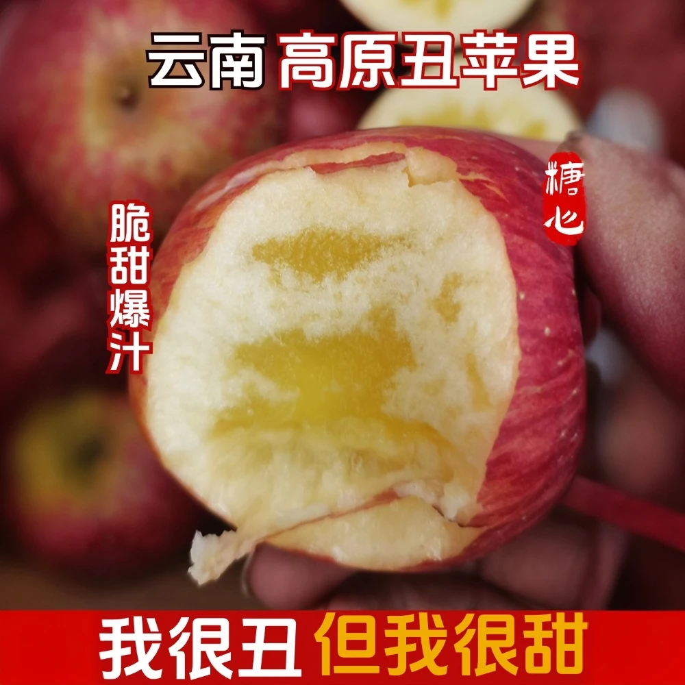 【高性价比发中通】正宗云南昭通苹果糖心苹果香甜丑苹果现摘脆甜