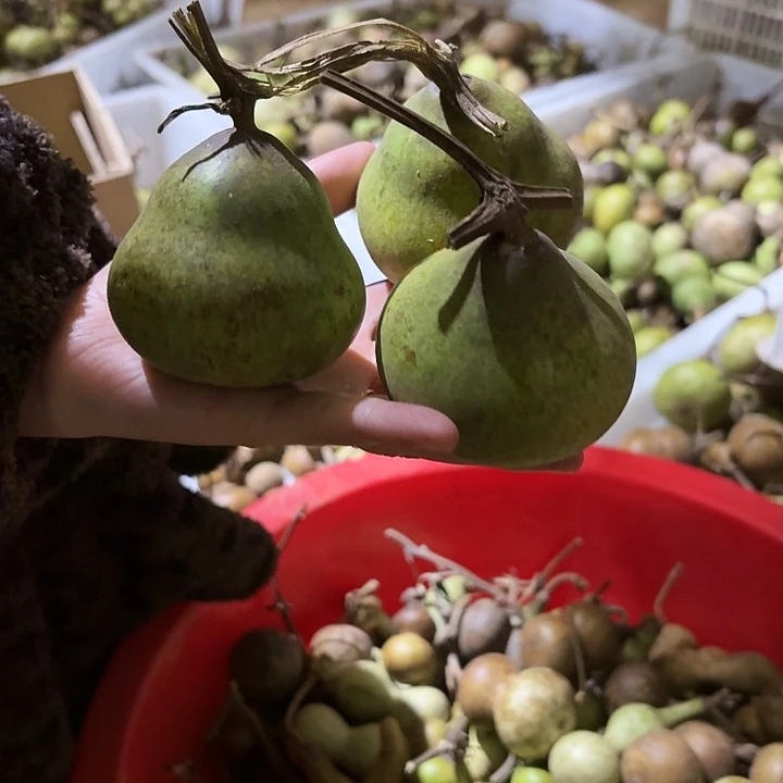 木家居葫芦精品摆件