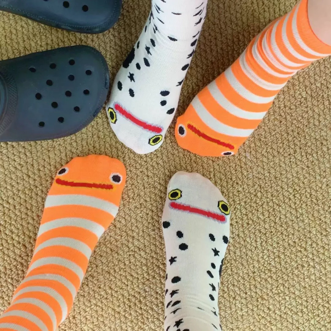 （老七专属）4对花园鳗鱼中筒袜子薄款ins可爱卡通日系条纹搞怪