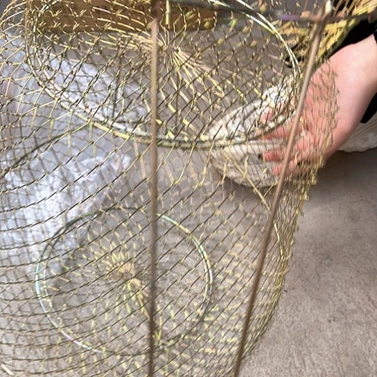 铁丝笼带支撑一个。