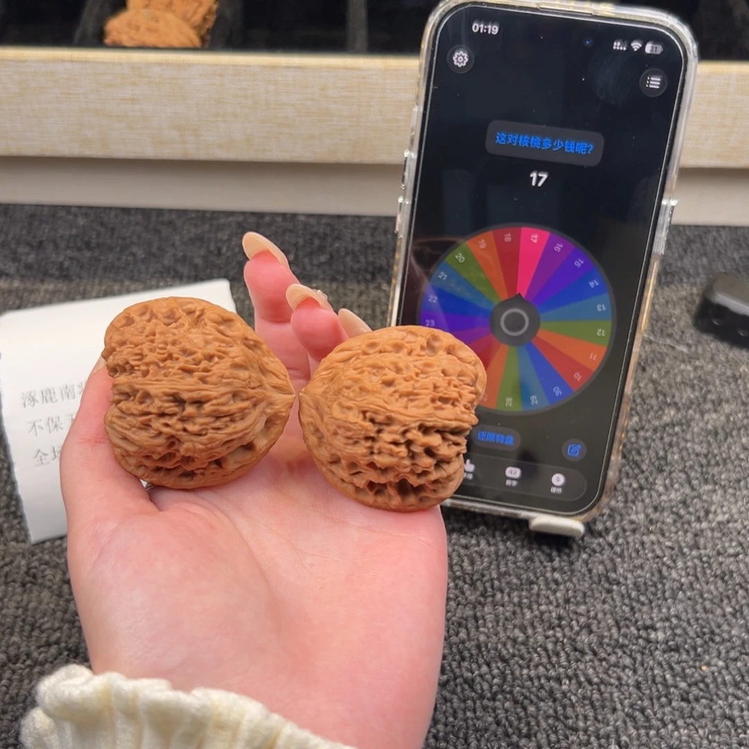 核桃南疆石天使之翼03