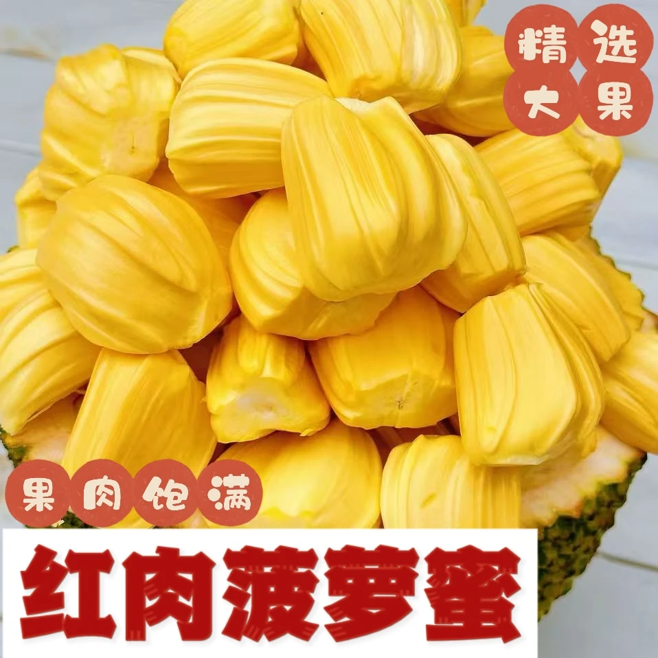 新鲜水果菠萝蜜红肉整果红肉