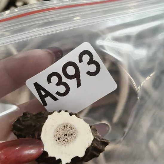 禁***区鹿角鹿角鹿角鹿角鹿角