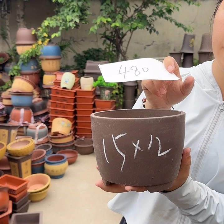 A480花盆花盆花盆