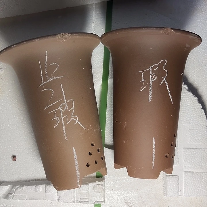 周三周四自始至终自作自受