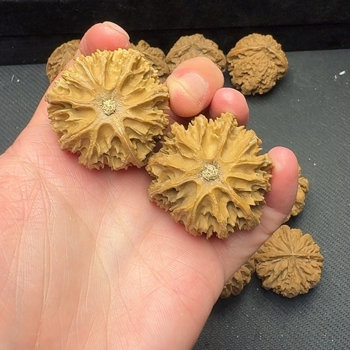 w***5我也不知道我为什么要