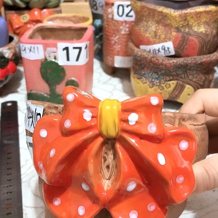 多肉花盆满15包邮