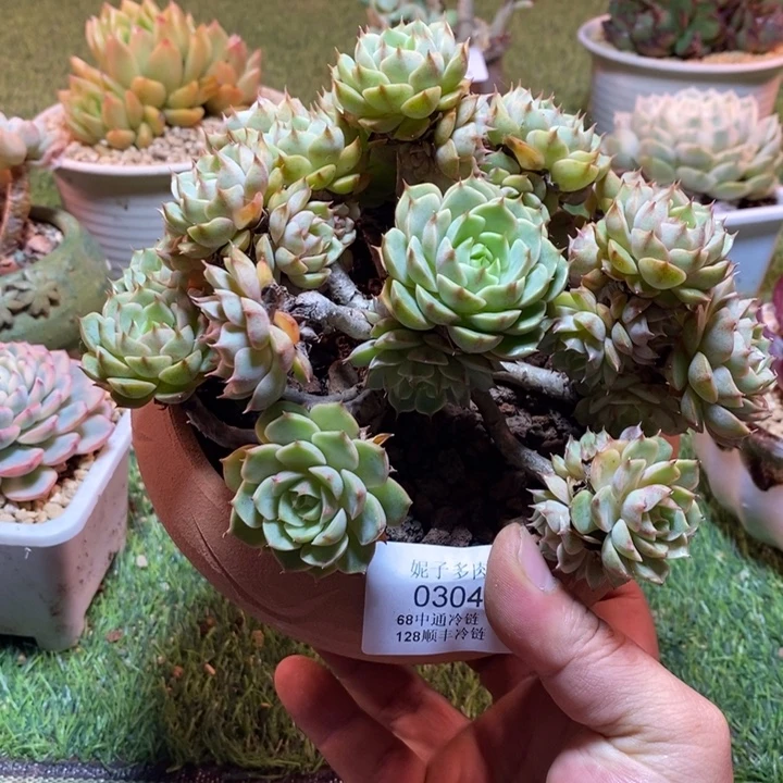0304啊啊啊啊啊啊啊啊啊啊啊