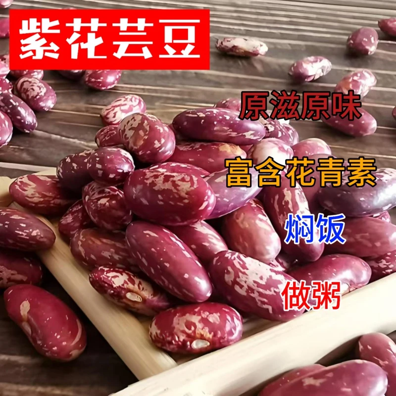 东北花芸豆红芸饭豆农家新鲜花腰豆红花豆煲大碴粥煮汤五谷杂粮