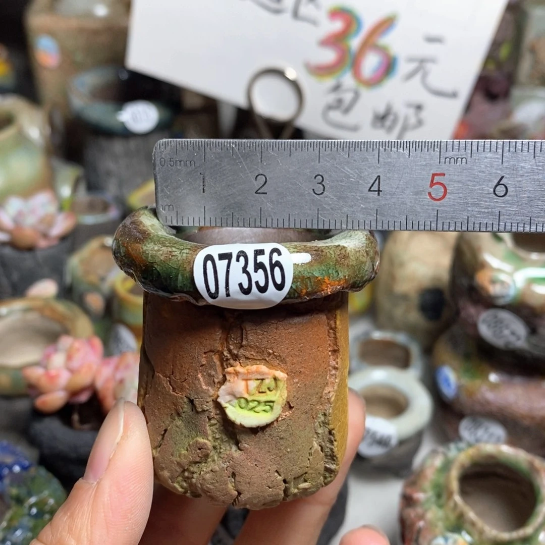 花盆拍3送一个小礼物