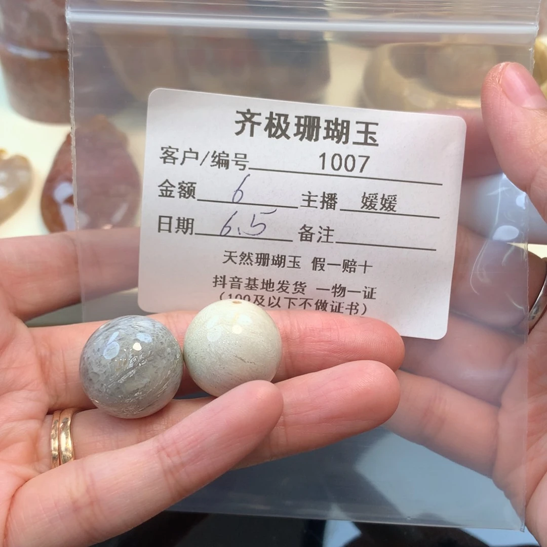 硅化珊瑚（珊瑚玉）未镶嵌颈饰健**财