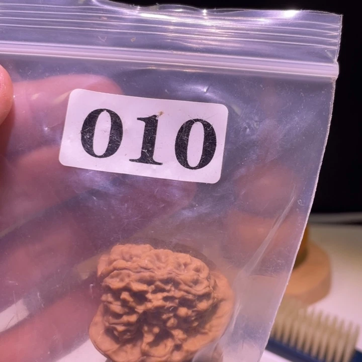 林***昱吊坠文玩核桃010关关