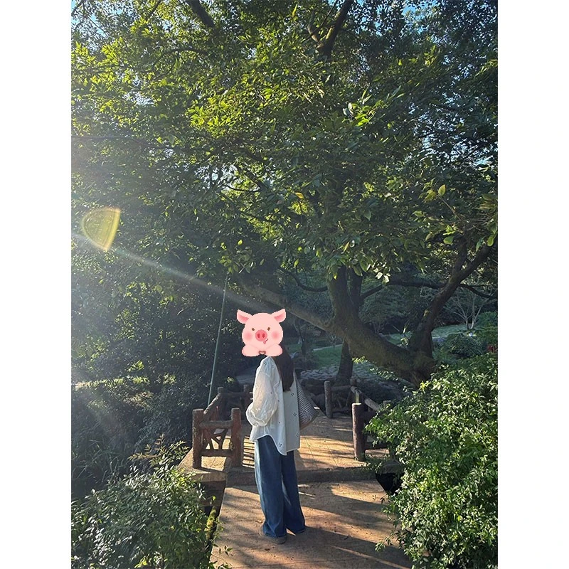 通勤风修身显瘦修身薄款衬衫上衣2025夏季休闲宽松时尚百搭长裤女