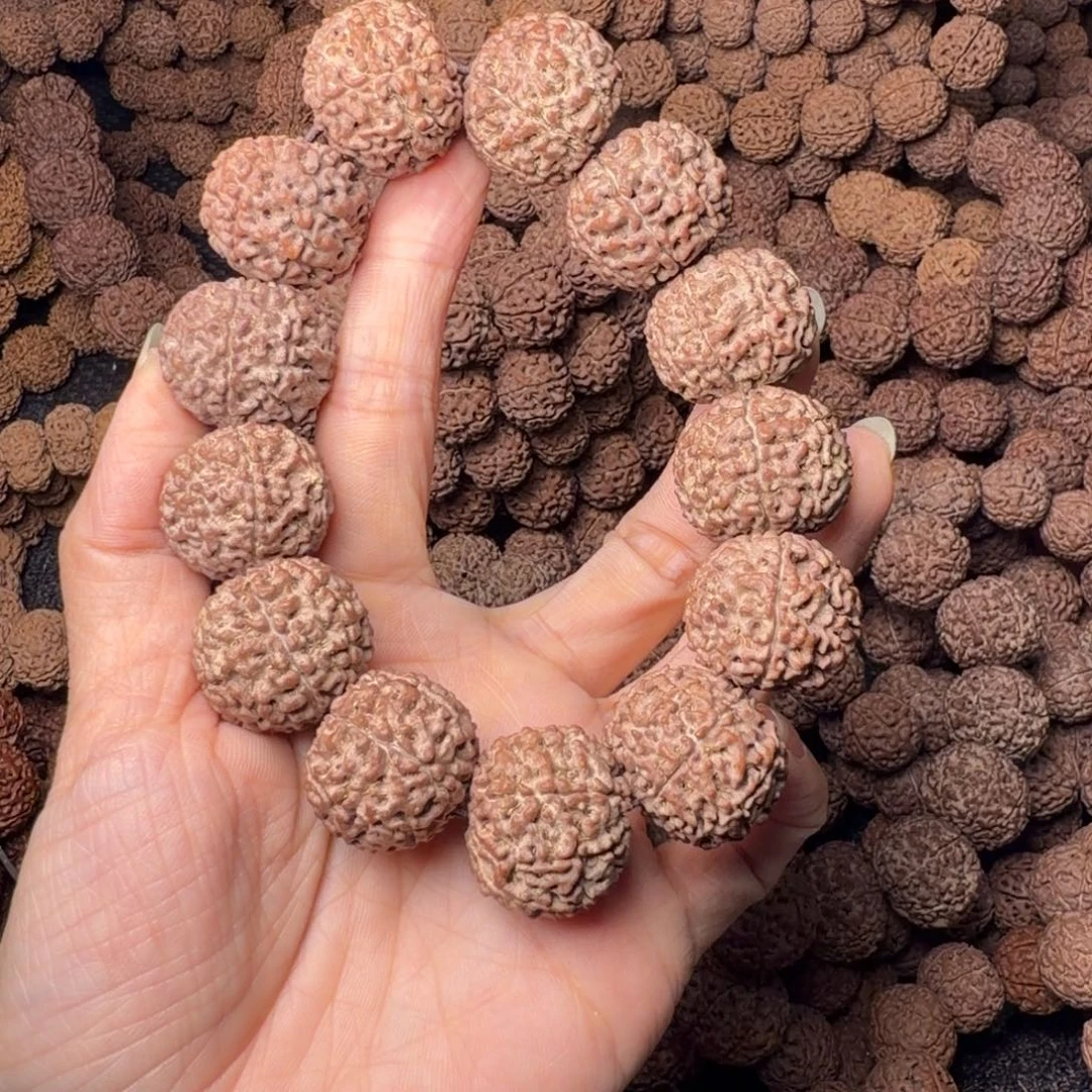 手串金刚菩提8瓣卡23尺，125号