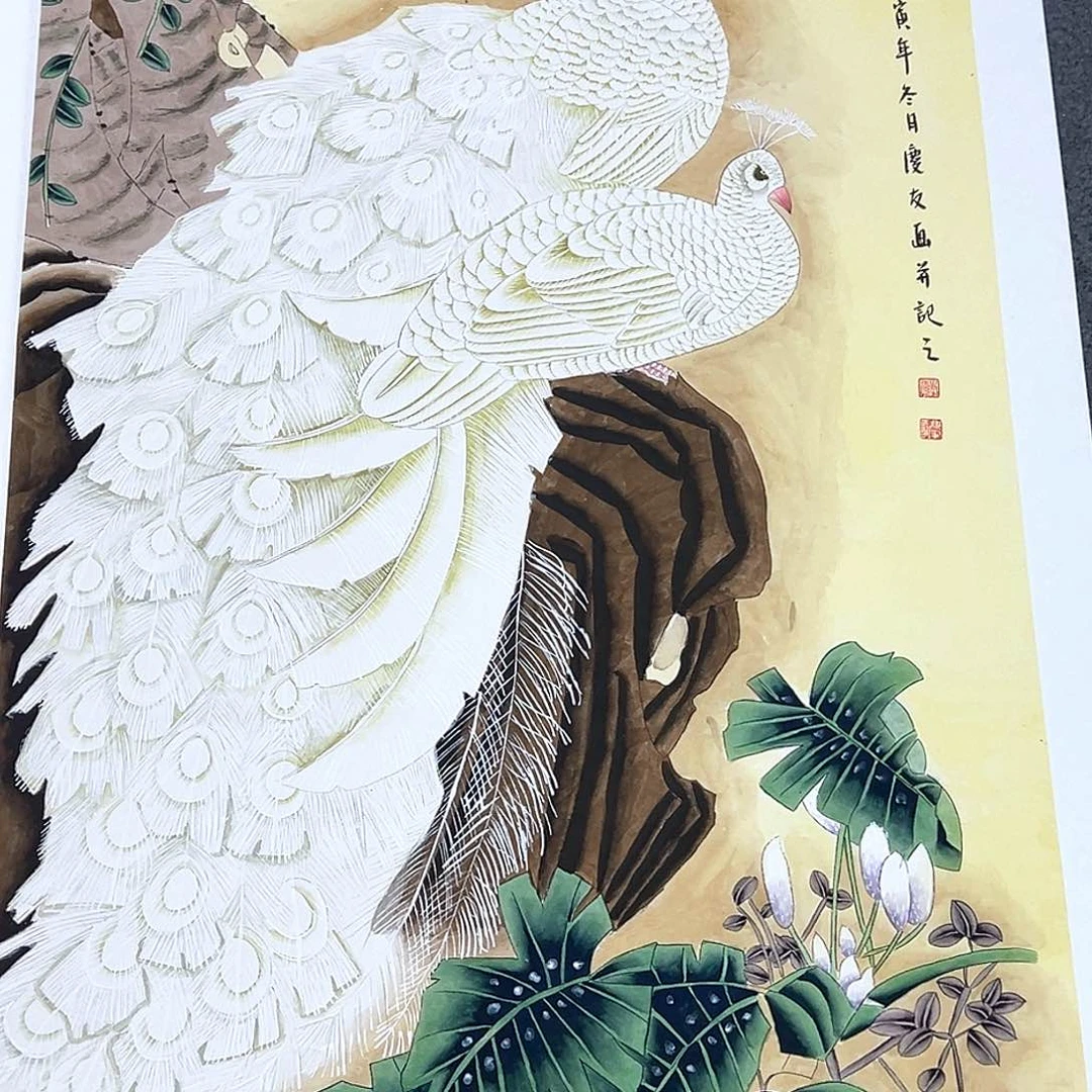 竖款惊喜不断啊哈哈哈
