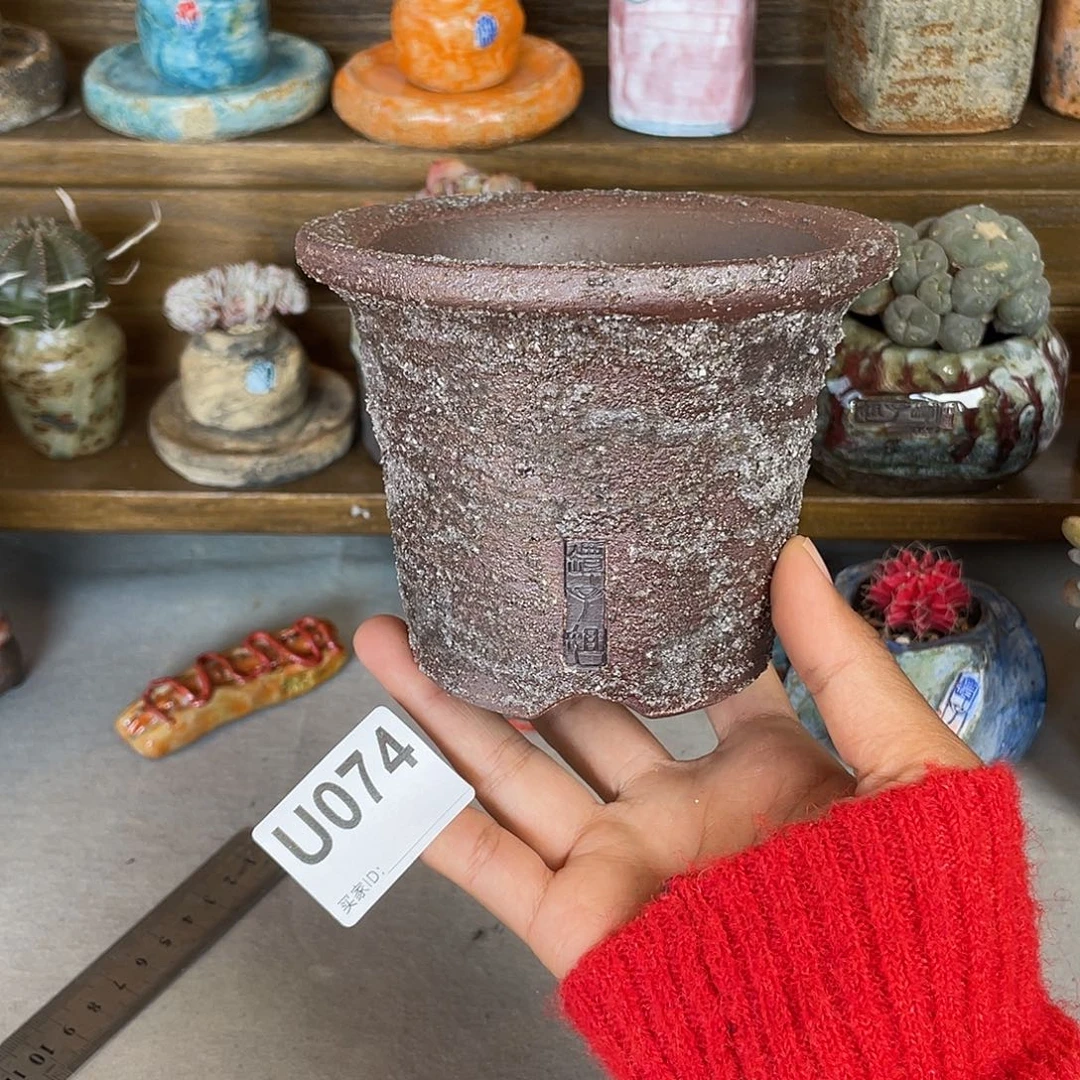 坛子姐花盆 球盆 块根盆 景天桩 内口9.5左右 百搭