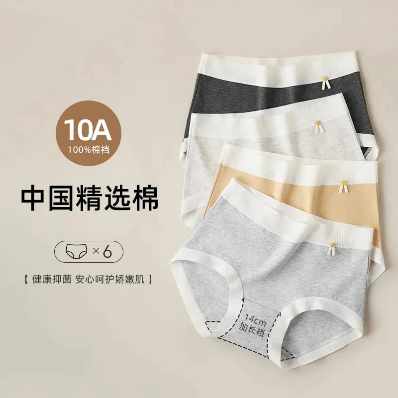 纯棉中高腰女10A抗菌底档运动风透气短裤女士内裤T-5276