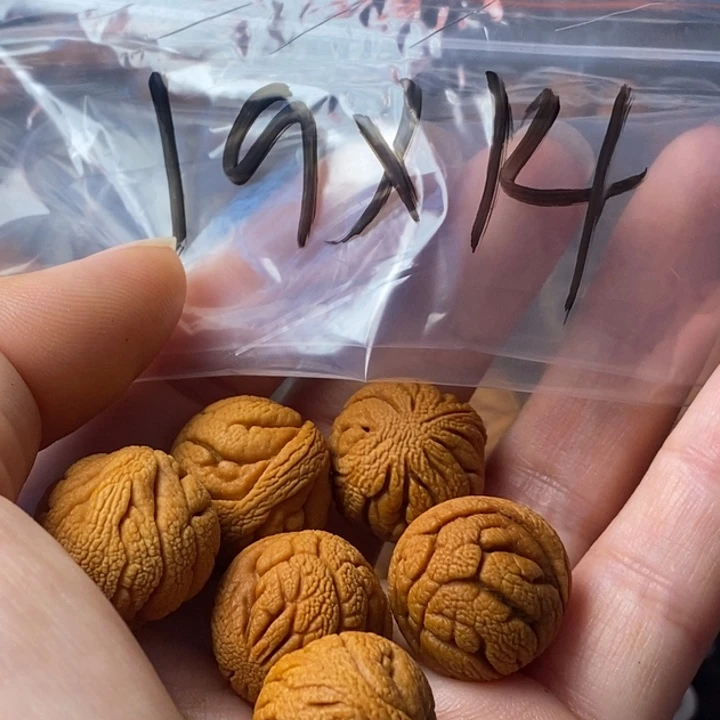 手串文玩核桃秦岭野生龙纹桃核19